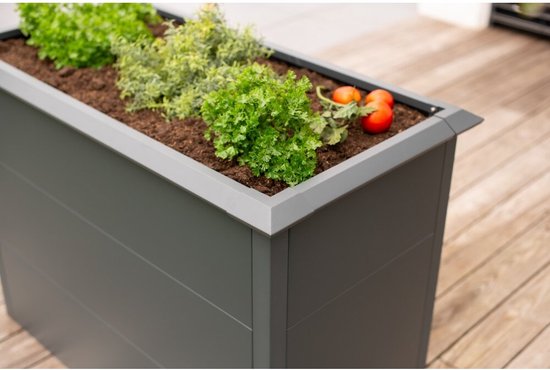Westmann - WMHPS771005 - Plantenbak - Bloembak - Tuin Hochbeed - 100 x 50 x 77 cm