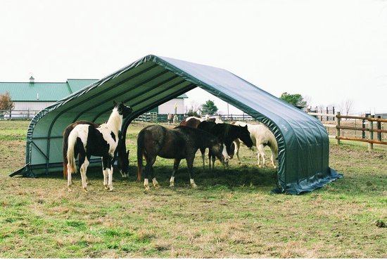 ShelterLogic® Weidetent SL58432 - 610x670x320 cm - Groen