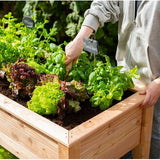Westmann Plantenbak WM102420 - Tuin Hochbeed