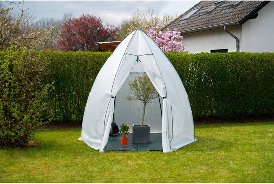 Westmann Plant Overwinteringstent Avocado - 250x250x250 cm