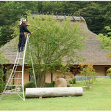 Niwaki - Tuinladder - NW03000