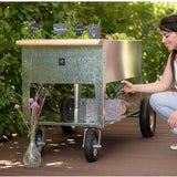 Herstera Garden® Metalen Plantenbak Verrijdbaar- 120x60x84cm - Zilverkleurig