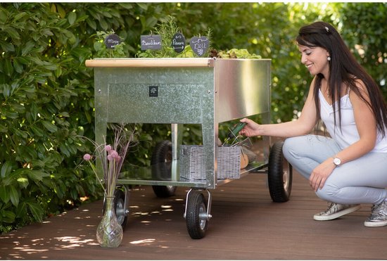 Herstera Garden® Metalen Plantenbak Verrijdbaar- 120x60x84cm - Zilverkleurig