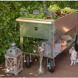 Herstera Garden® Metalen Plantenbak Verrijdbaar- 120x60x84cm - Zilverkleurig