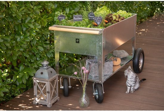Herstera Garden® Metalen Plantenbak Verrijdbaar- 120x60x84cm - Zilverkleurig