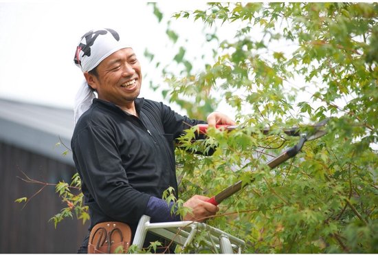 Niwaki - Tuinladder - NW03000