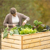 Westmann Houten Verhoogde Plantenbak Moestuin Asket L - 130x70x90cm