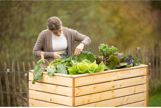 Westmann Houten Verhoogde Plantenbak Moestuin Asket L - 130x70x90cm