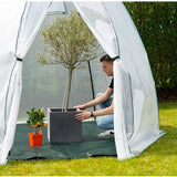 Westmann Plant Overwinteringstent Avocado - 250x250x250 cm