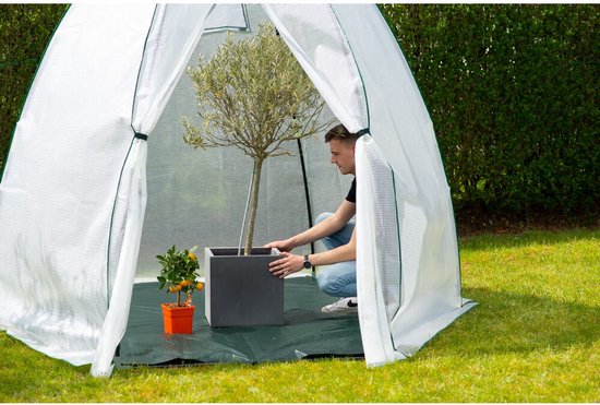 Westmann Plant Overwinteringstent Avocado - 250x250x250 cm