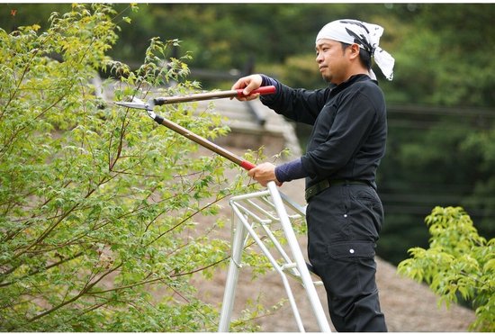 Niwaki - Tuinladder - NW03000