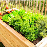 Westmann Plantenbak Kruidenbak WMHL170 - 170x90x84 cm
