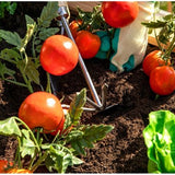 Westmann Plantenbak Kruidenbak WMHL100 - 100x65x66 cm