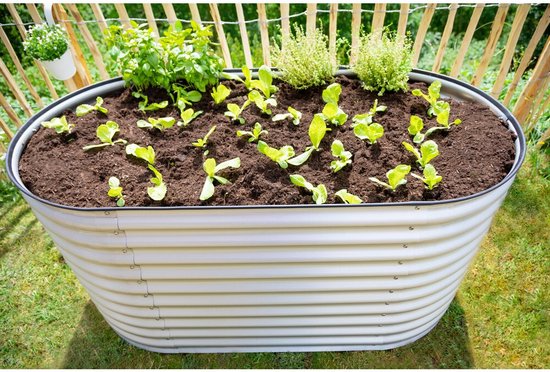 Plantenbak Westmann ISPB168H - Bloembak - 160x80x82 cm