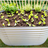 Plantenbak Westmann ISPB168H - Bloembak - 160x80x82 cm