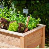 Westmann Plantenbak WM102420 - Tuin Hochbeed
