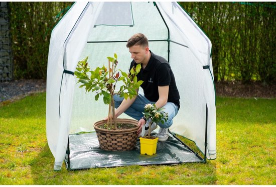 Westmann Plant Overwinteringstent Chili - 12x120x180 cm
