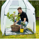 Westmann Plant Overwinteringstent Chili - 12x120x180 cm