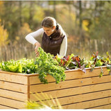 Westmann Houten Verhoogde Plantenbak Moestuin Asket XL - 160x70x90cm