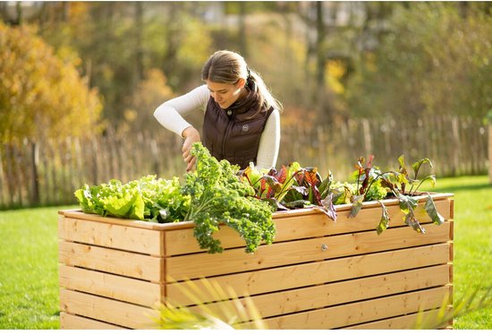 Westmann Houten Verhoogde Plantenbak Moestuin Asket XL - 160x70x90cm