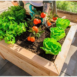 Westmann Plantenbak Kruidenbak WMHL100 - 100x65x66 cm