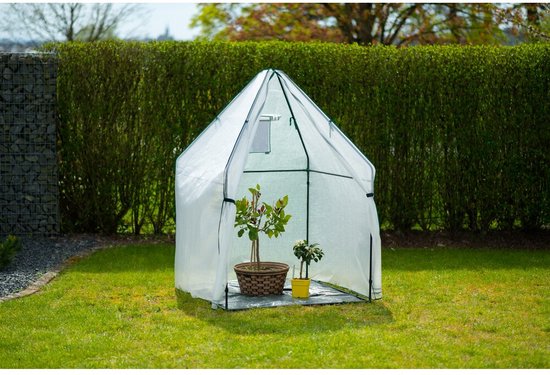 Westmann Plant Overwinteringstent Chili - 12x120x180 cm
