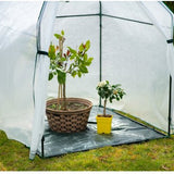 Westmann Plant Overwinteringstent Chili - 12x120x180 cm