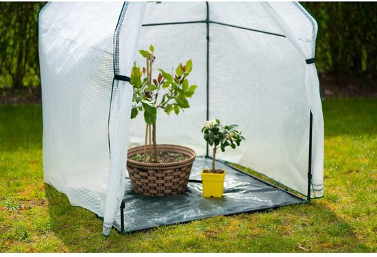Westmann Plant Overwinteringstent Chili - 12x120x180 cm