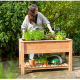 Westmann Plantenbak WM102420 - Tuin Hochbeed