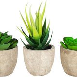 3 stuks Kunstplanten - Kamerplanten - Nep planten - Vetplanten - Cadeautip