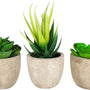 3 stuks Kunstplanten - Kamerplanten - Nep planten - Vetplanten - Cadeautip