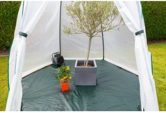 Westmann Plant Overwinteringstent Avocado - 250x250x250 cm