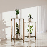 Fixwood 2-Tier Plantenstandaard – Set van 2 Bloemenrekken – Houten Bloemenstandaard voor Binnen & Buiten – Decoratieve Plantentafel – 40 & 50 cm Hoog – Beige-Natuur