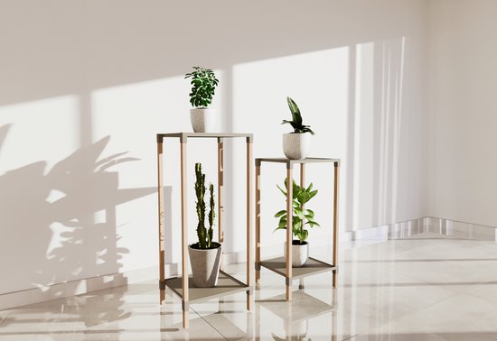 Fixwood 2-Tier Plantenstandaard – Set van 2 Bloemenrekken – Houten Bloemenstandaard voor Binnen & Buiten – Decoratieve Plantentafel – 50 & 60 cm Hoog – Beige-Natuur