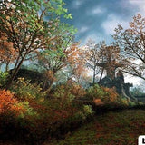 Final Fantasy XI: Online