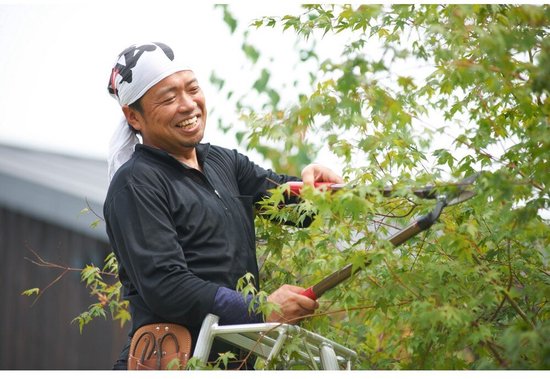Niwaki - Tuinladder - NW03000