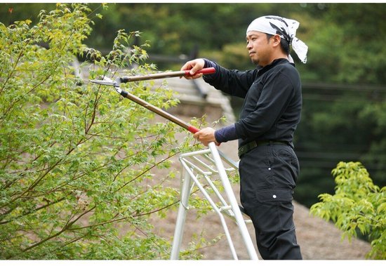 Niwaki - Tuinladder - NW03000