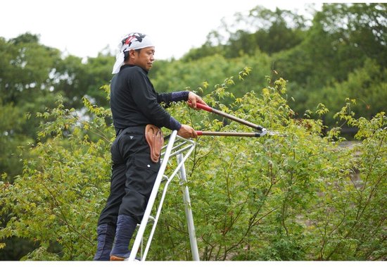 Niwaki - Tuinladder - NW03000