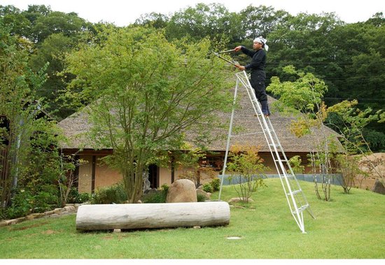 Niwaki - Tuinladder - NW03000