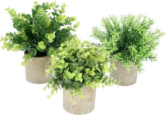GreenDream® Kunstplanten - stuks - Cadeautip