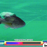 Mark Davis Pro Bass Challenge