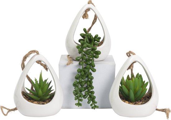GreenDream® Kunstplanten - in - Cadeautip