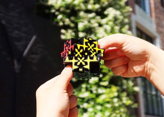 Recent Toys Maltese Gear Breinbreker Puzzel