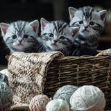 Rebo puzzel - Cute Kittens - 1000 st