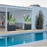 Herstera Garden - HG08974801 - Plantenbak - Bloembak - Tuin Hochbeed - 25 x 80 x 100 cm