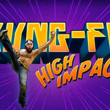 Kung Fu High Impact (Xbox Kinect)