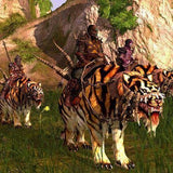 Age Of Conan + Add-on  Rise Of The Godslayer (Gold Pack)