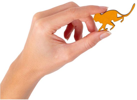 Puzzel - Breinbreker - Monkey madness