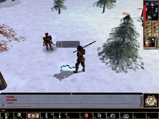 Neverwinter Nights Shadows Undrentide