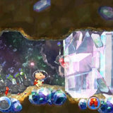 Nintendo Hey! Pikmin, Nintendo 3DS